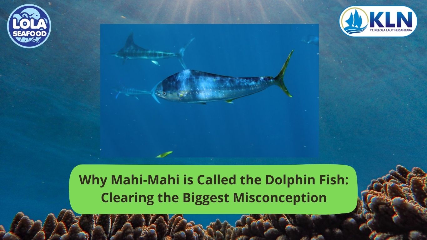 Why Mahi-Mahi is Called the Dolphin Fish: Clearing the Biggest Misconception